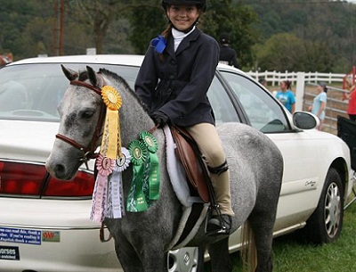 Champion Short Stirrup Pony for sale-ribbons